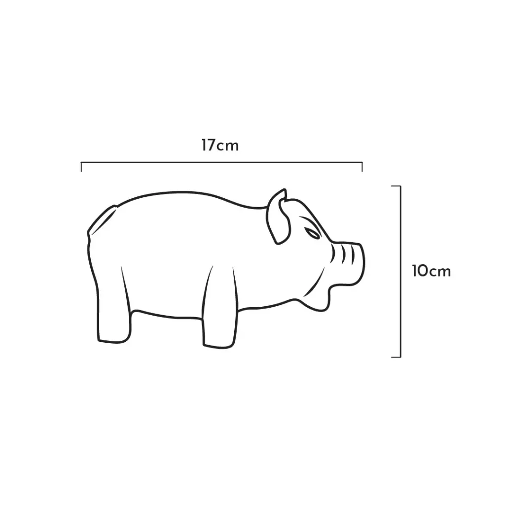 PIGGY-BANK.webp