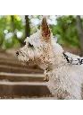 2022_05__144-1-1_small.webp