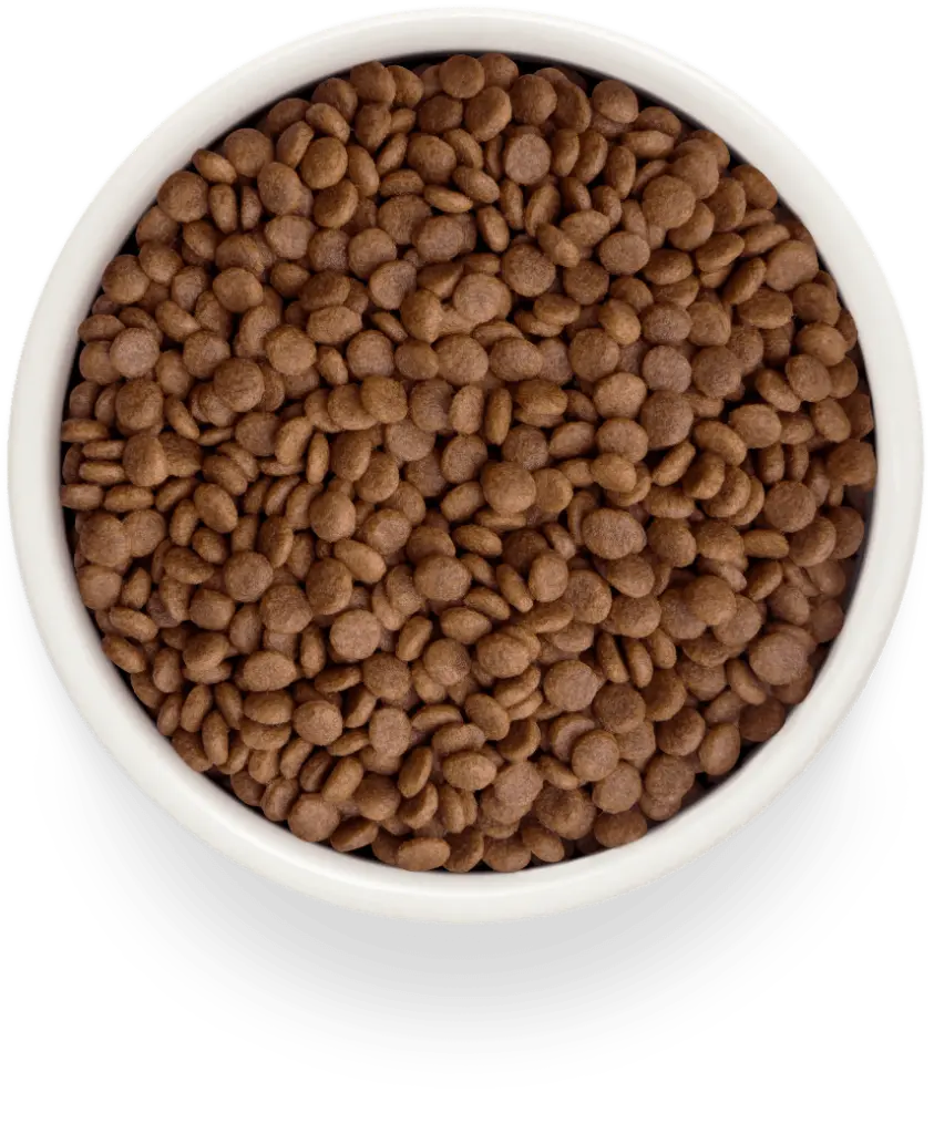 brokjes kat grandorf fresh.webp