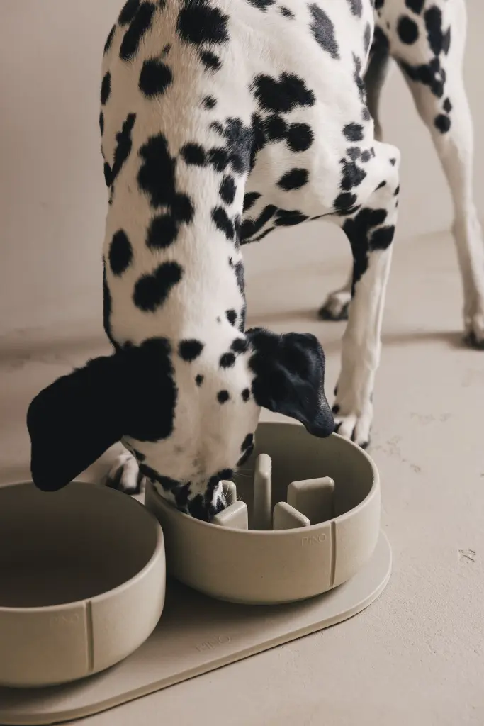 PC-CF-0411 + PC-SF-0411 + PC-TR-0411.webp