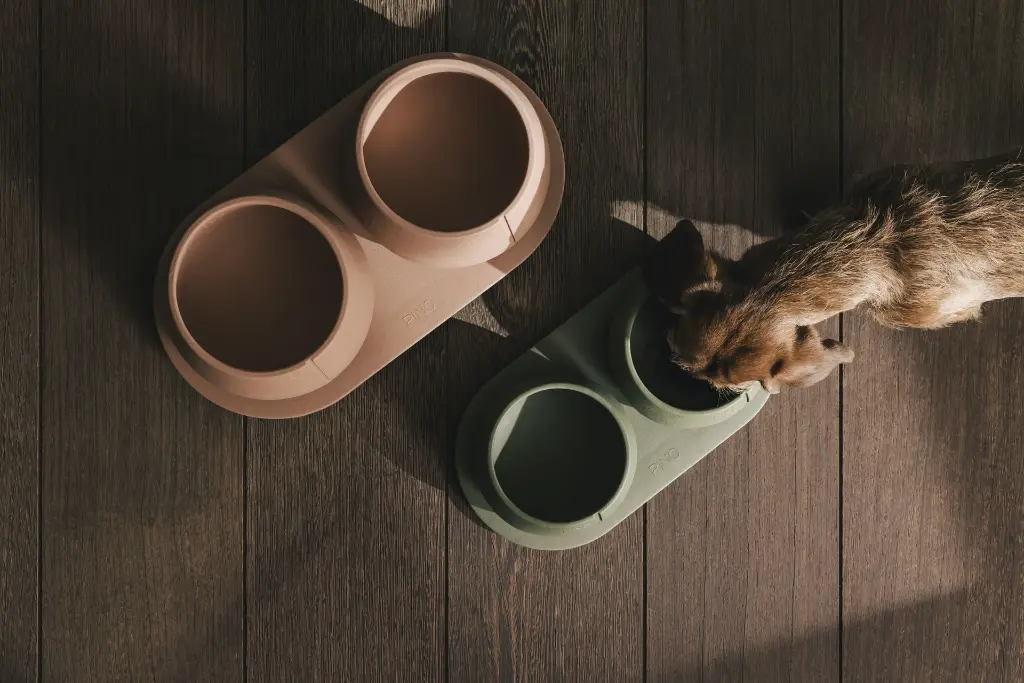 PC-LE-0221 + PC-TR-0221 + PC-LE-0331 + PC-TR-0321.webp