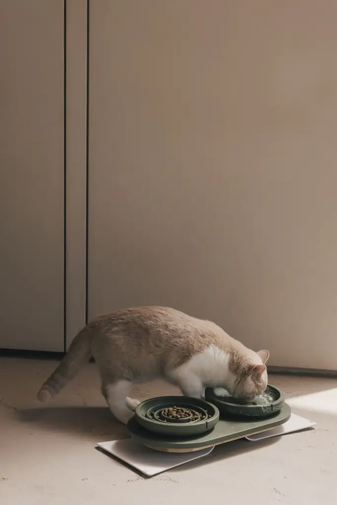 PC-WF-0122 + PC-SF-0121 + PC-TR-0321 + PC-RR-0001.webp