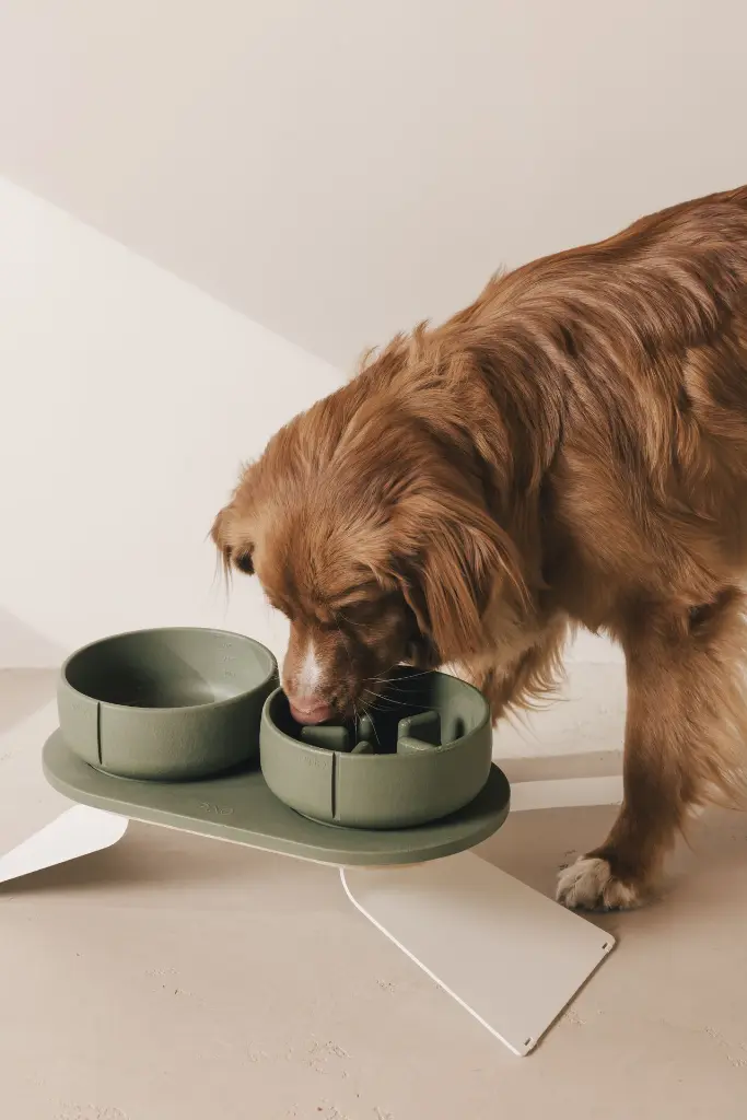 PC-CF-0321 + PC-SF-0321 + PC-TR-0321 + PC-RTR-0001.webp