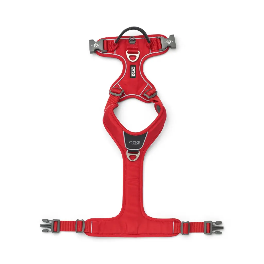 Comfort Walk Pro Harness-Classic Red_4.webp