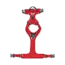 Comfort Walk Pro Harness-Classic Red_4.webp