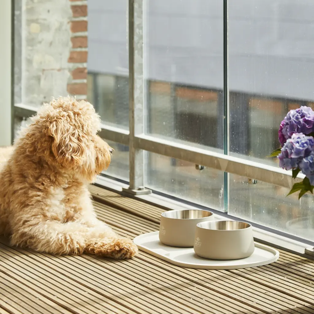 Lifestyle-Libra Placemat_3.webp