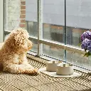 Lifestyle-Libra Placemat_3.webp