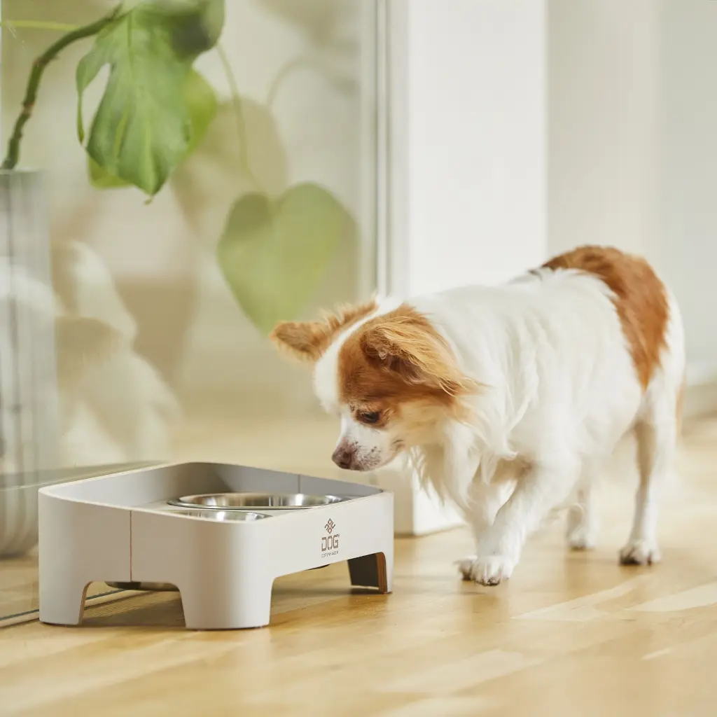 Lifestyle-Skagen Food Bar_6.webp