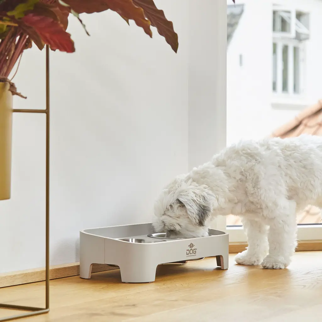 Lifestyle-Skagen Food Bar_1.webp