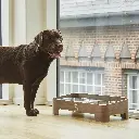 Lifestyle-Skagen Food Bar_9.webp