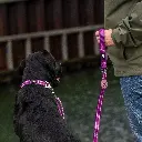 Lifestyle-Urban Freestyle Leash_2.webp