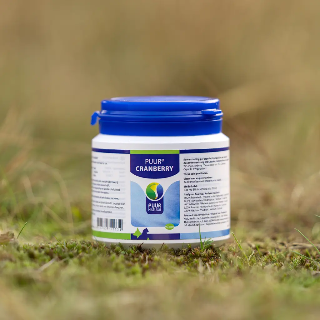 PUUR-Cranberry-2025-sfeer-productfoto-scaled-e1739259037506-3200x3200.webp