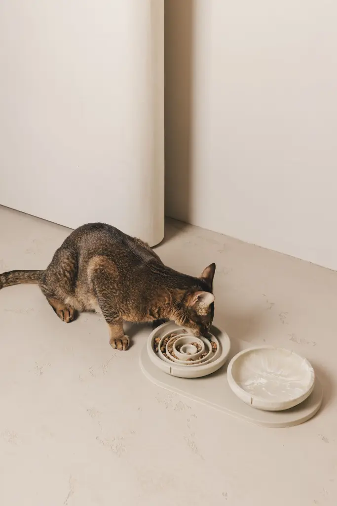 PC-WF-0112 + PC-SF-0111 + PC-TR-0311.webp