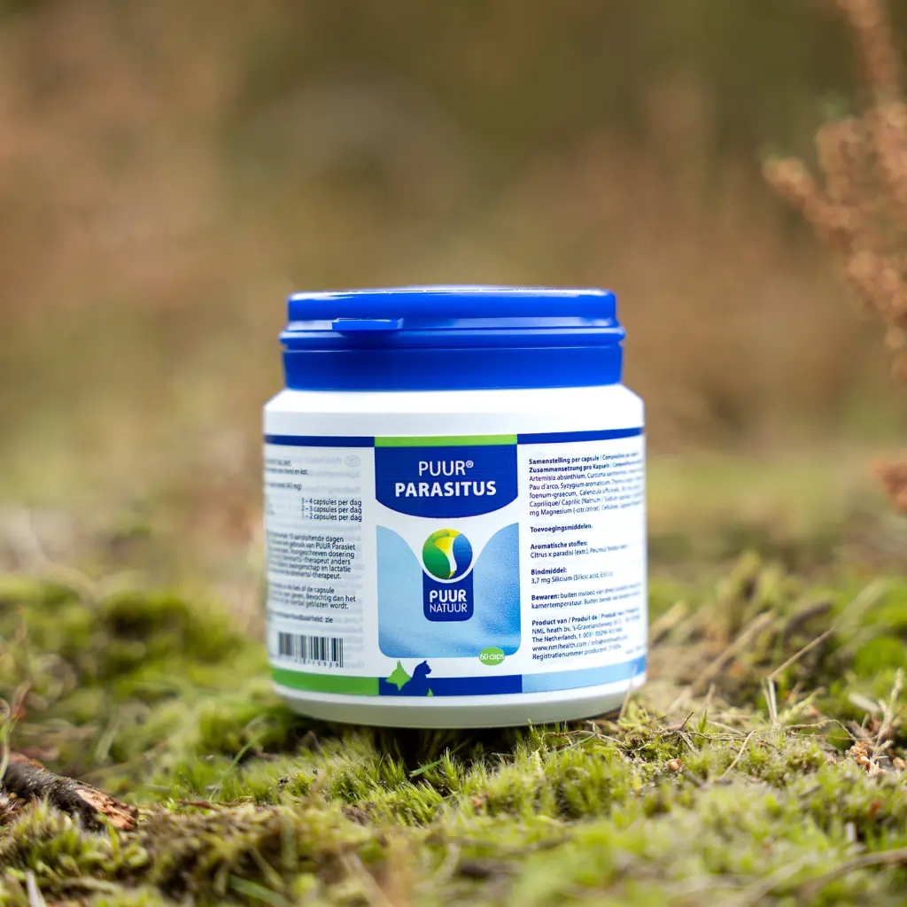 PUUR-Parasitus-2025-sfeer-productfoto-scaled-e1739259691517-3200x3200.webp