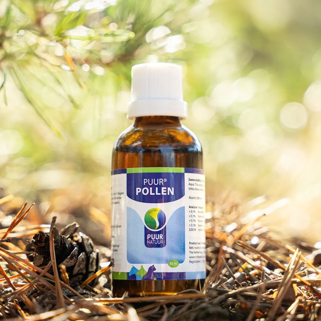 PUUR-Pollen-2025-sfeer-productfoto-scaled-e1739201839660-3200x3200.webp