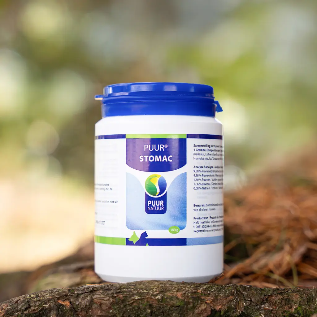 PUUR-Stomac-2025-sfeer-productfoto-3-scaled-e1739198385657-3200x3200.webp