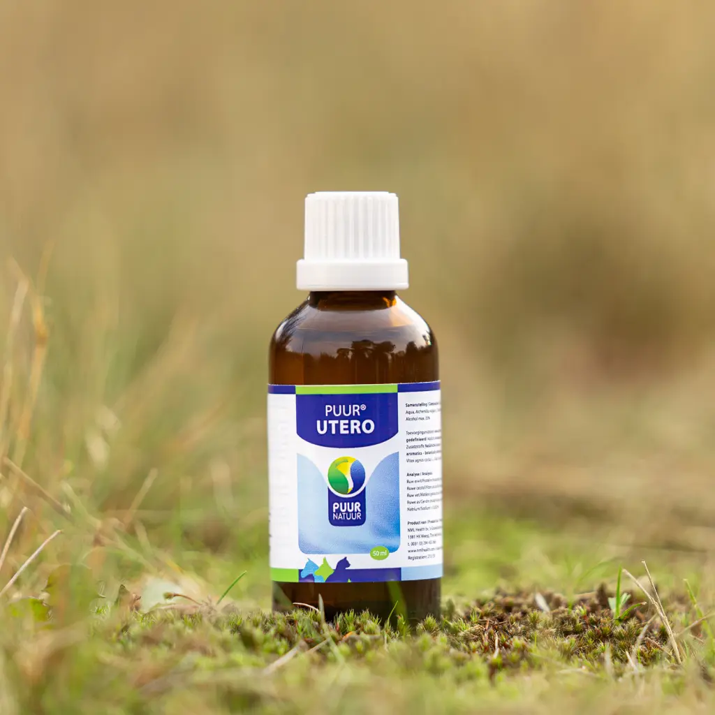PUUR-Utero-2025-sfeer-productfoto-scaled-e1739196483779-3200x3200.webp