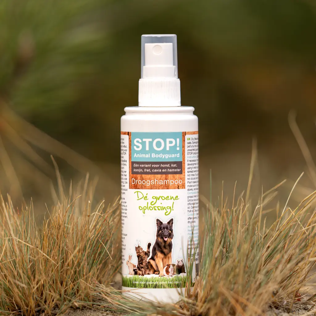 Stop-droogshampoo-2025-sfeer-productfoto-scaled-e1739194626701-3200x3200.webp