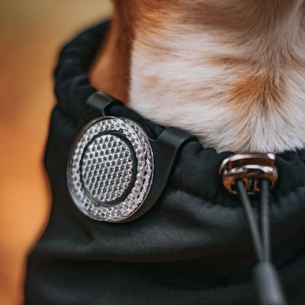 Orbiloc_Reflective_Clip_Close_Up_Dog_Coat_Southpawsjourney.webp
