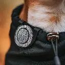 Orbiloc_Reflective_Clip_Close_Up_Dog_Coat_Southpawsjourney.webp