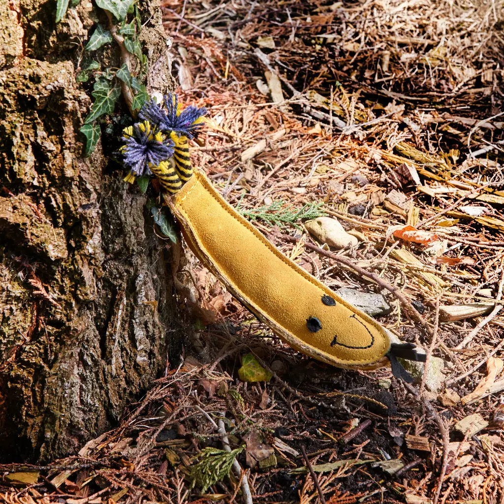 Barry the Banana Outdoor lifestyle.webp