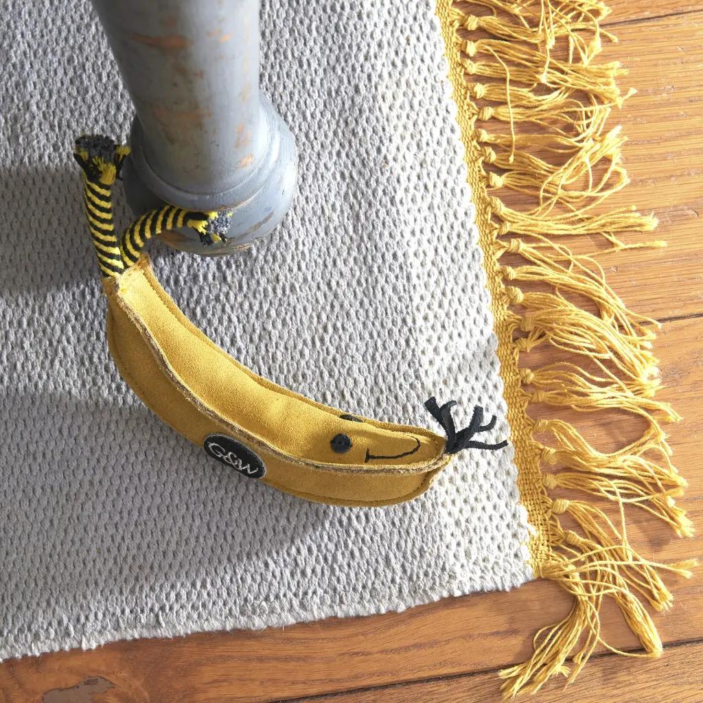 Barry inside on rug EDIT.webp