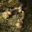 Big Rope 3 Knot outdoor lifestyle.webp