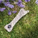 Bone buddy on grass EDIT.webp