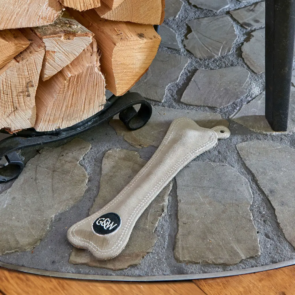 Bone buddy on hearth EDIT.webp