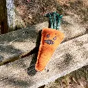 Candice outside on bench EDIT.webp