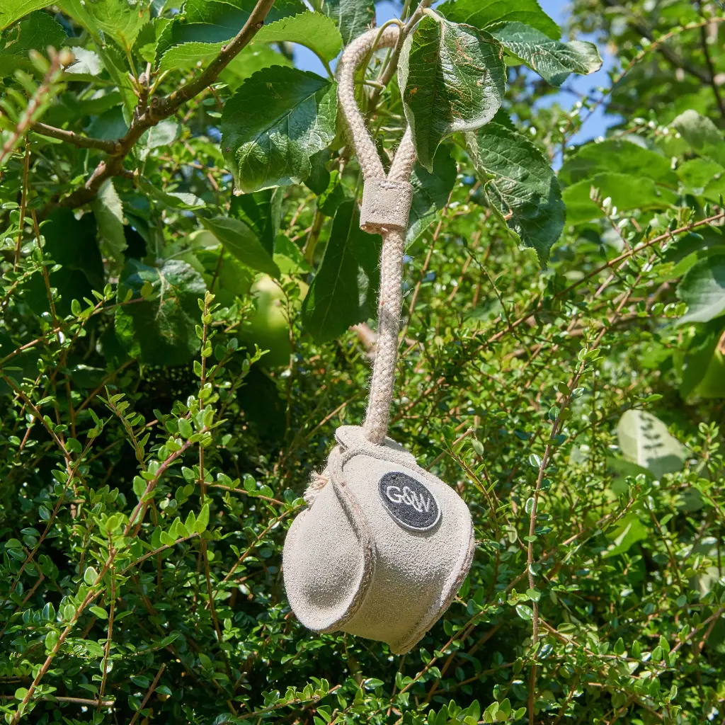 Chuck Ball in tree.webp