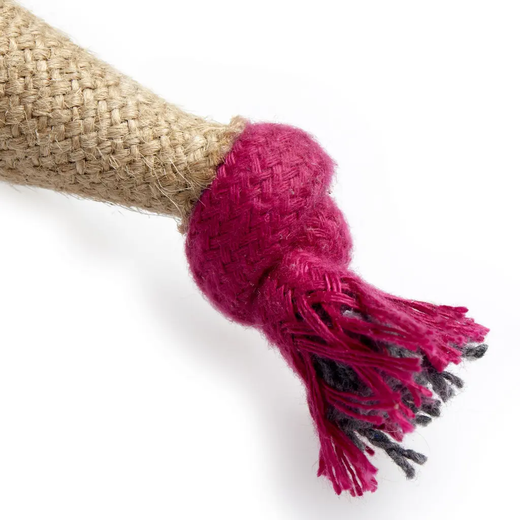 Connie close up end of cone.webp