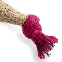 Connie close up end of cone.webp