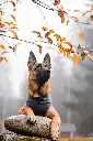 Jumppa_Graphite4.webp