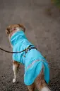 Kuori_Arctic9.webp