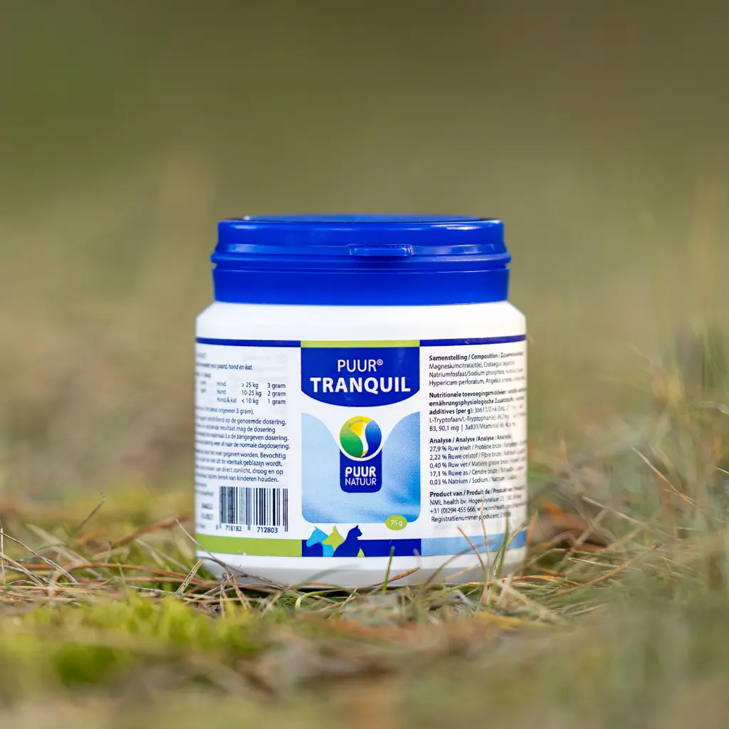 PUUR-Tranquil-2025-sfeer-productfoto-2-scaled-e1739197276682-3200x3200.webp