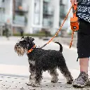 Lifestyle-Urban Rope Leash_1.webp