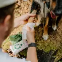 travelwipes.webp