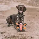 file_d6c32f2a-d02e-41ee-9e02-f06c2d12e610.webp
