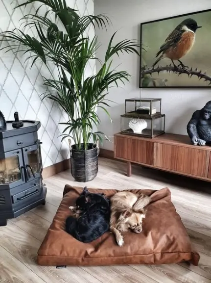 MN hondenkussen lederlook cognac foto.webp