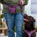 Lifestyle-Go Explore Treat Bag_1.webp