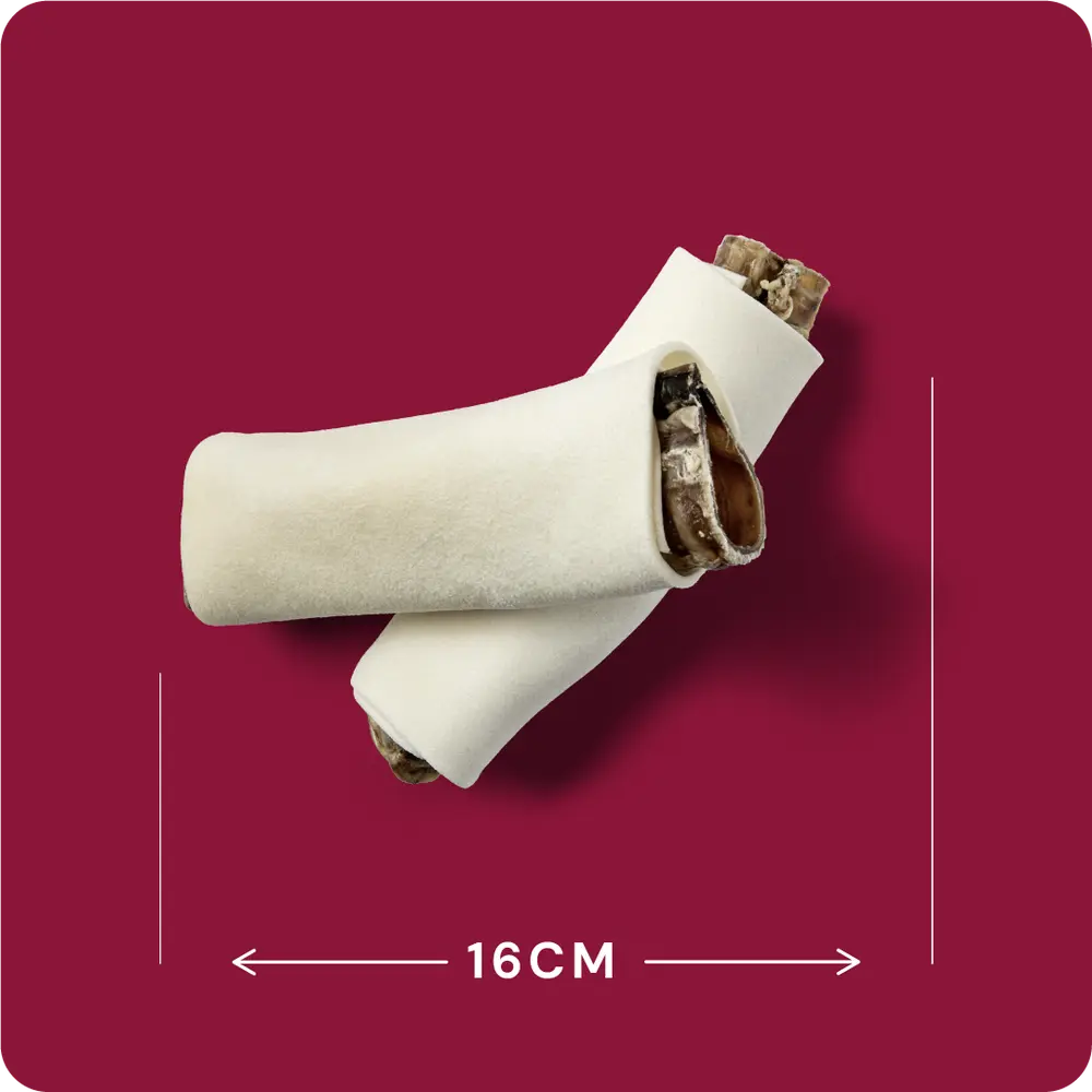 beef burrito 1.webp