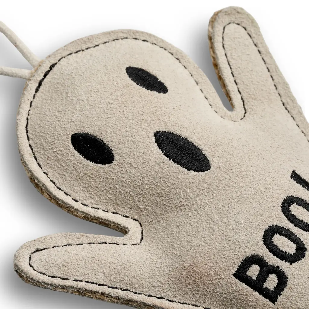 Boo Hoo Ghost - Close Up Head.webp