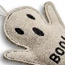 Boo Hoo Ghost - Close Up Head.webp