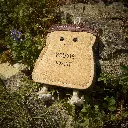 You're Toast outdoor lifestyle.webp