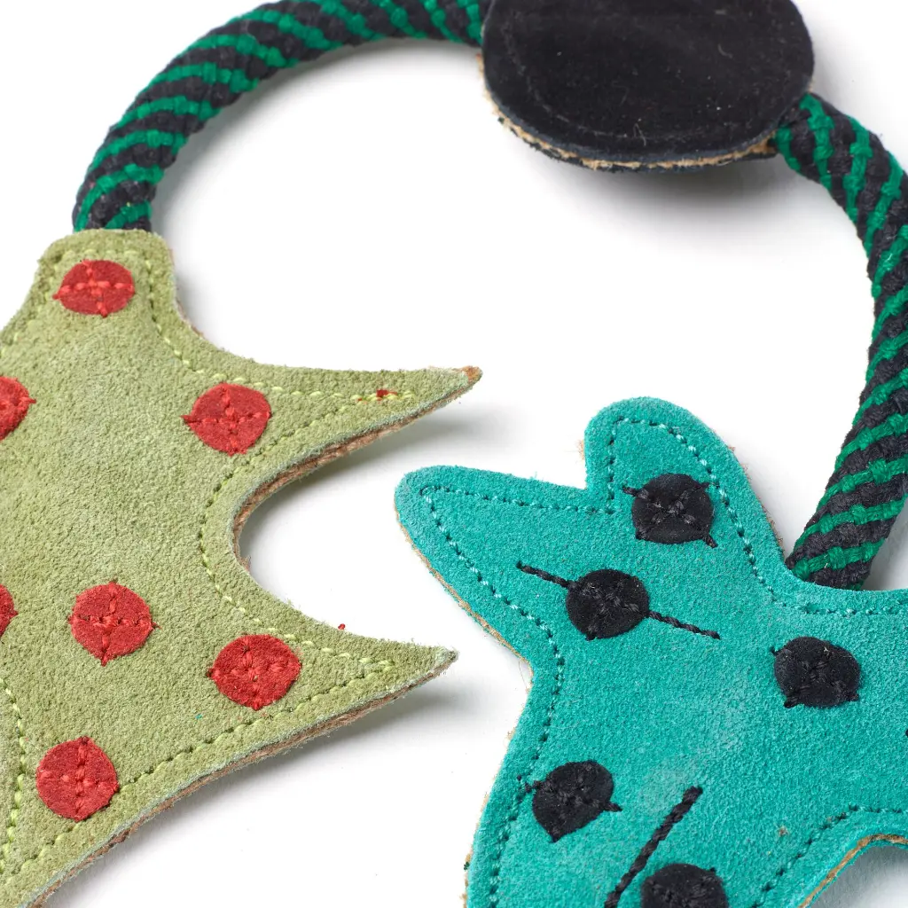 Holly & Ivy close up 1.webp