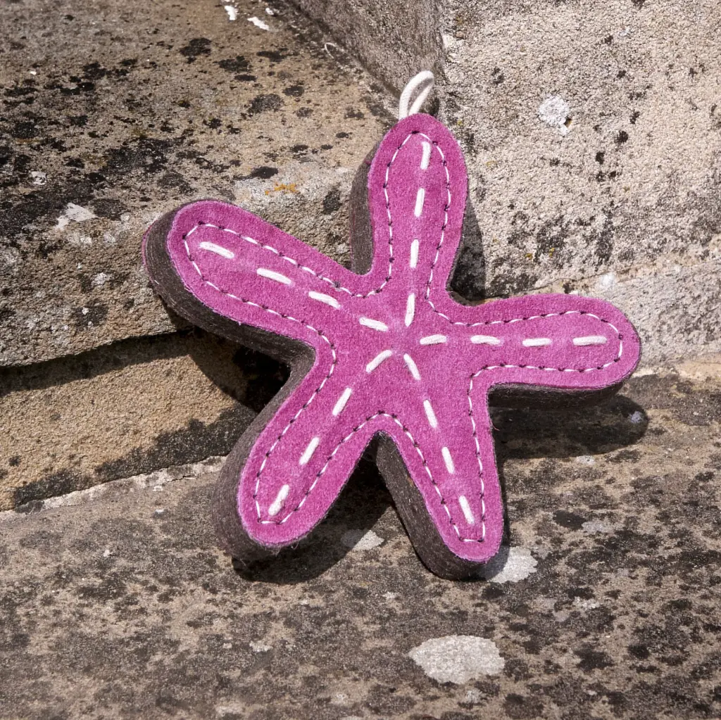 Stanley outside on step EDITED.webp