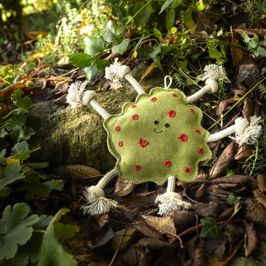 Splodge Outdoor Lifestyle  Image.webp