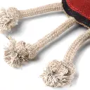 Spike close up 1 EDITED.webp