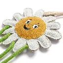 Crazy-Daisy-Close-Up.webp